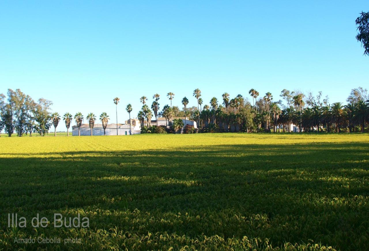 Villa Paquita - Delta De L'Ebre Deltebre Zewnętrze zdjęcie