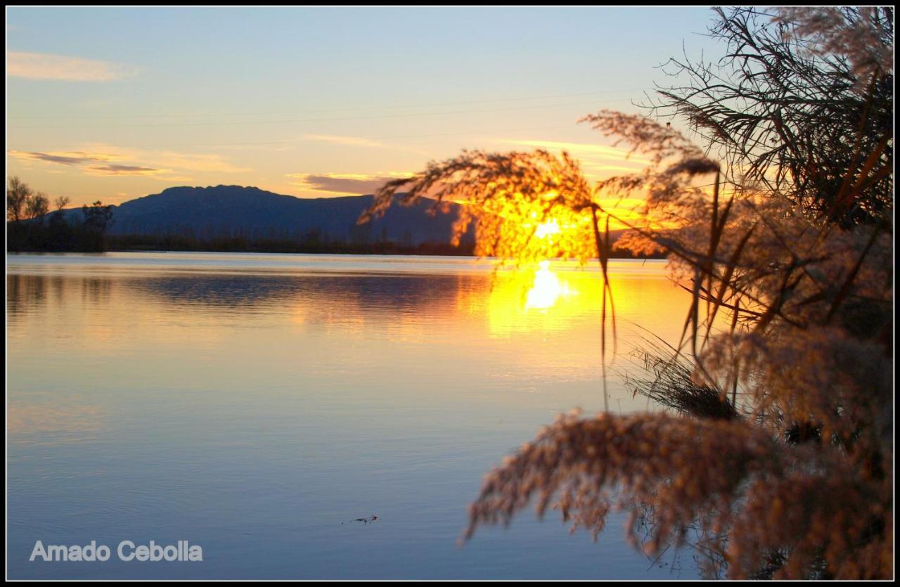 Villa Paquita - Delta De L'Ebre Deltebre Zewnętrze zdjęcie